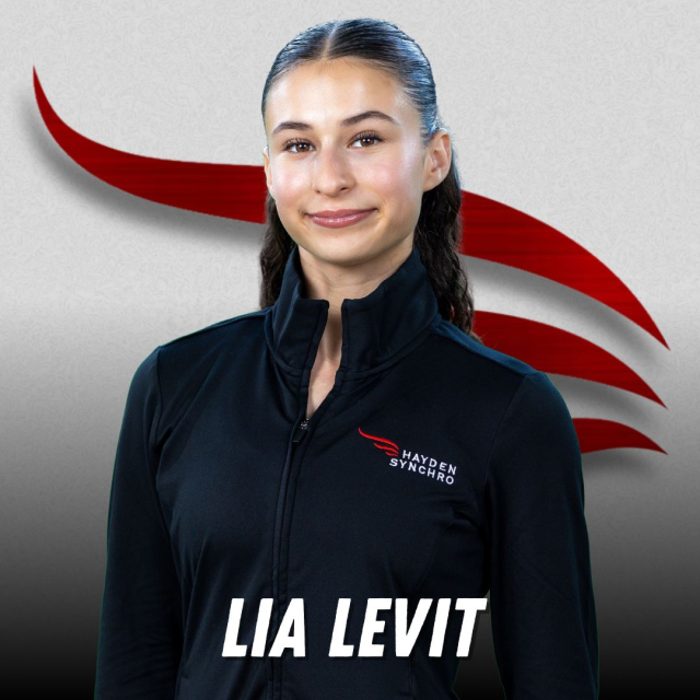 Profile picture for user llevit